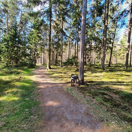 Ferienwohnung Schuberski Lipperreihe Eksteriør bilde